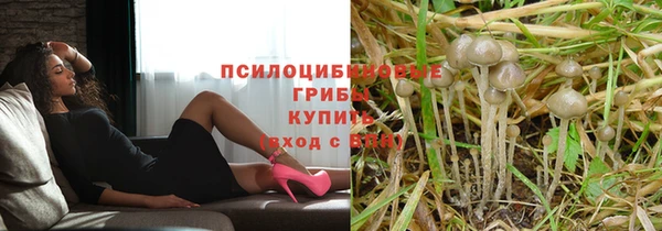 ALPHA PVP Арсеньев